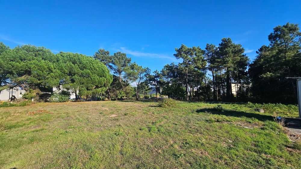 Arrendamento de Terreno em Parque Industrial – Pombal (até 3.600 m²)