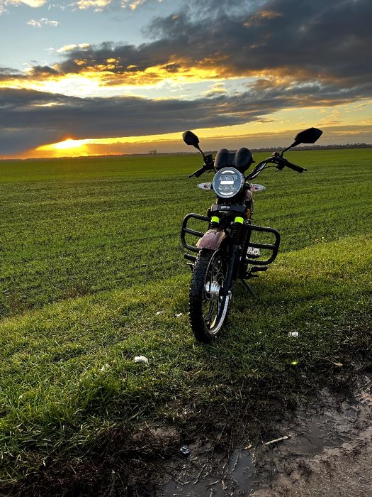 Мустанг  альфа МТ125-2