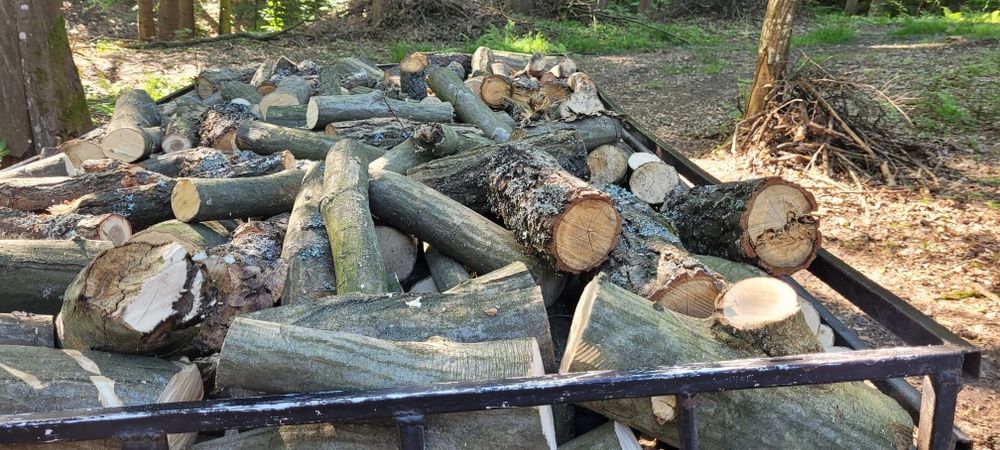 Drewno opałowe okrąglaki bukowe, grabowe