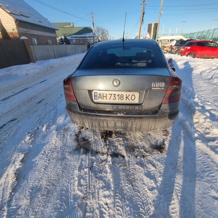 Skoda octavia a5 1.9 tdi укр регистрация