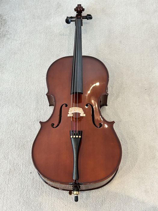 Violoncelo como novo (capa dura) - Ler descricão