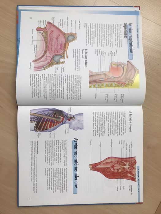 Livro sobre Corpo Humano