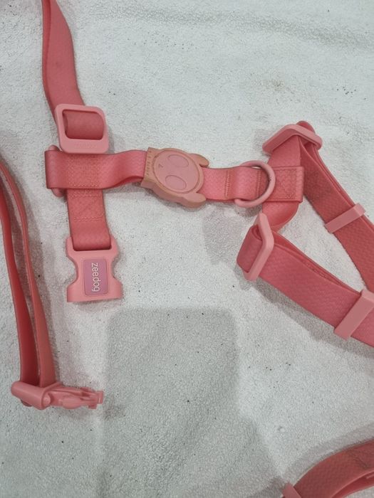 Trela para Gato resistente