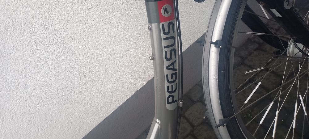 Rower Damski Pegasus 28 cali