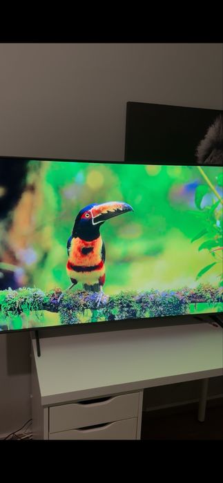 Tv sansung 55 polegadas na garantia