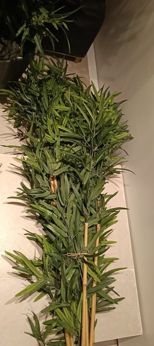 Canas da Índia artificial