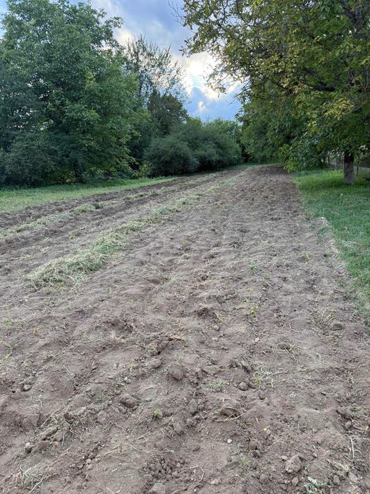 Продам земельну ділянку с. Оринин