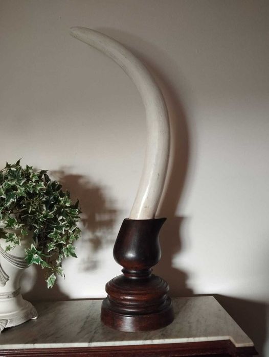 Par de Presas em Madeira Antiga