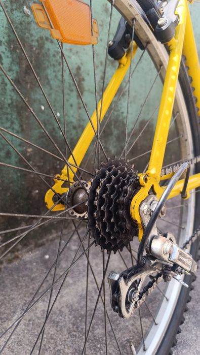 Bicicleta orbita