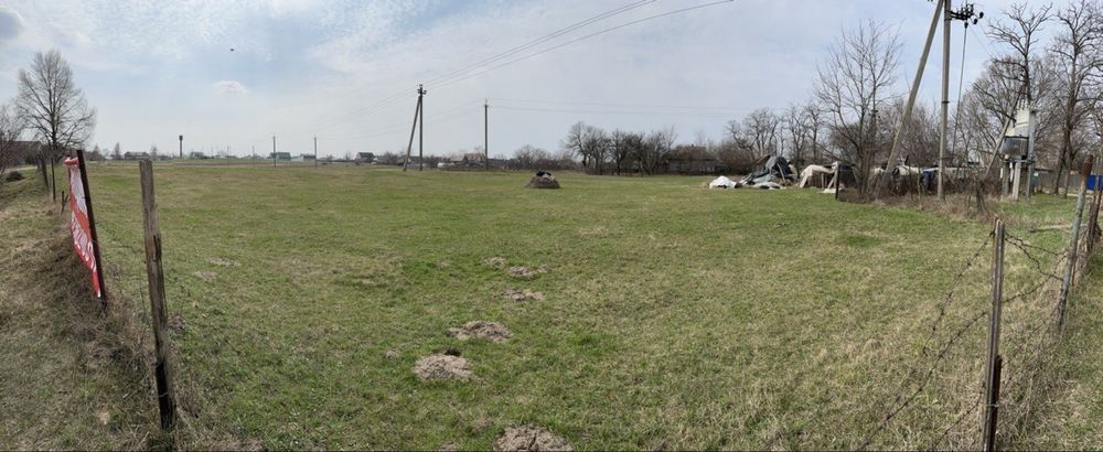 Земельна ділянка будинок земля 39 соток Велика Стариця Синьківка