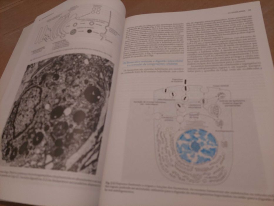 Livro “Histologia Básica” em excelente estado