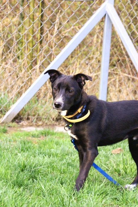 Neptun szuka kochającego domu