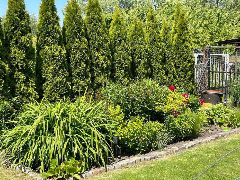 Dzialka rekreacyjna ROD