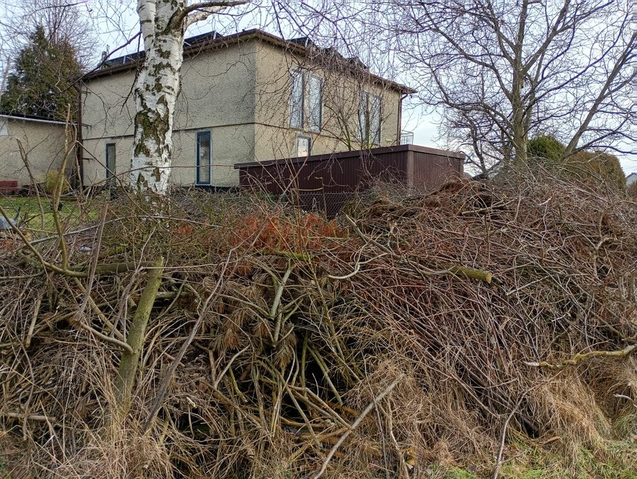 Gałęzie na zrębki - BIOMASA