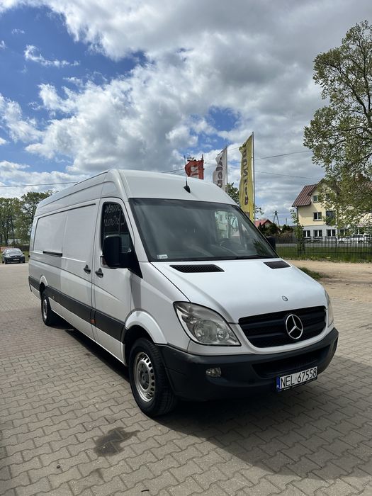 Sprinter, Master, Movano, wynajem, wypożyczenie. Wynajem busa