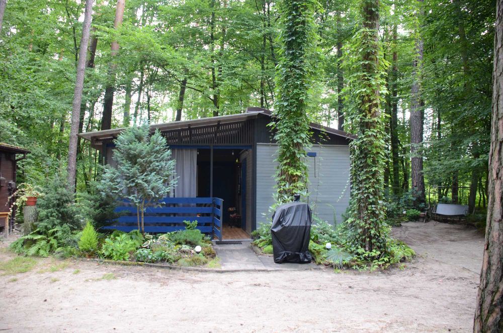 Domek 6 os. w lesie nad jeziorem k. Płocka (Grabina)