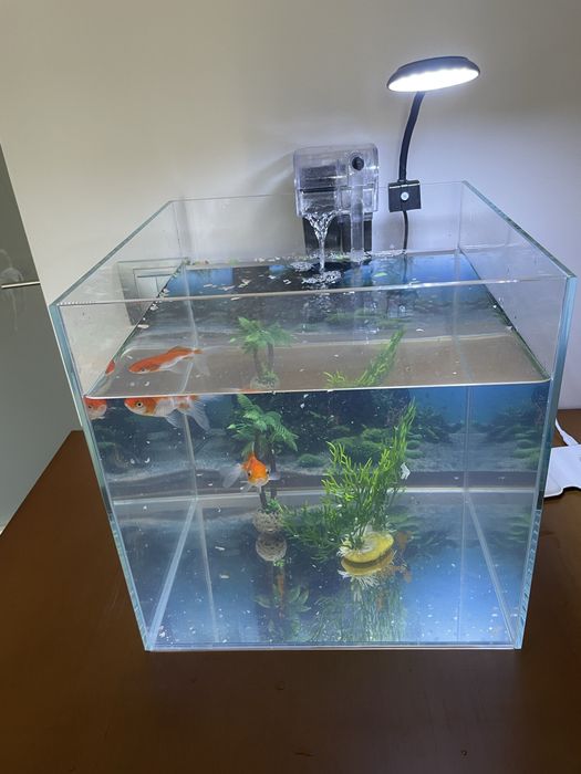 Aquario para peixes  27L