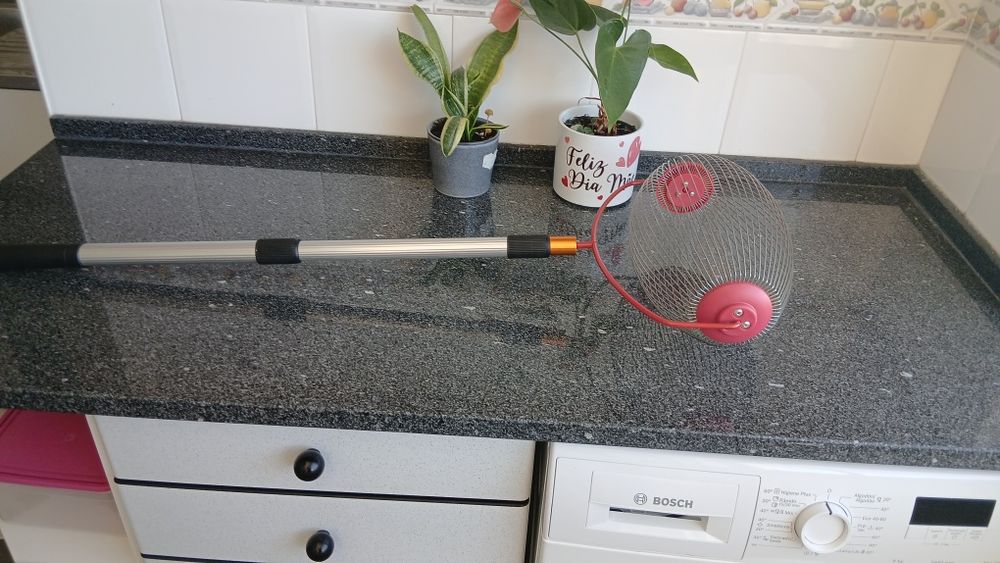 Apanhador de frutos secos