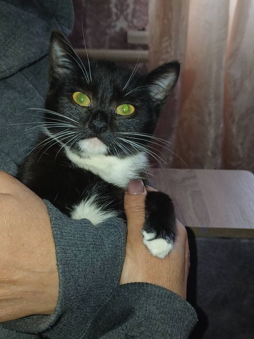 хлопчик безкоштовно