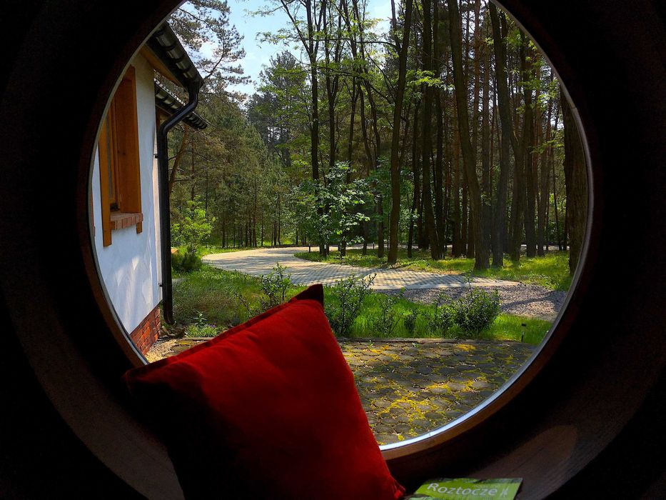 2os Studio z kominkiem łazienką kuchnią cieplutko WiFi na odludziu las