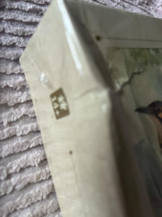 Puzzle Ptaki 1000 sztuk we folii