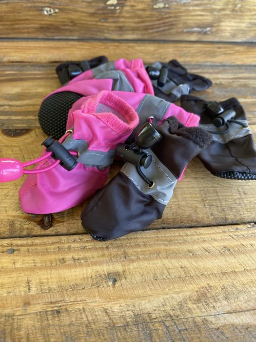 Зимове взуття для собак