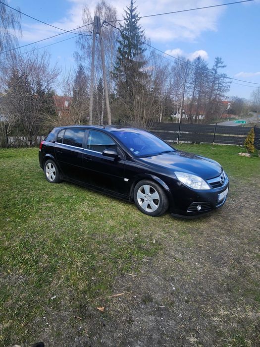 Opel Signum 2007