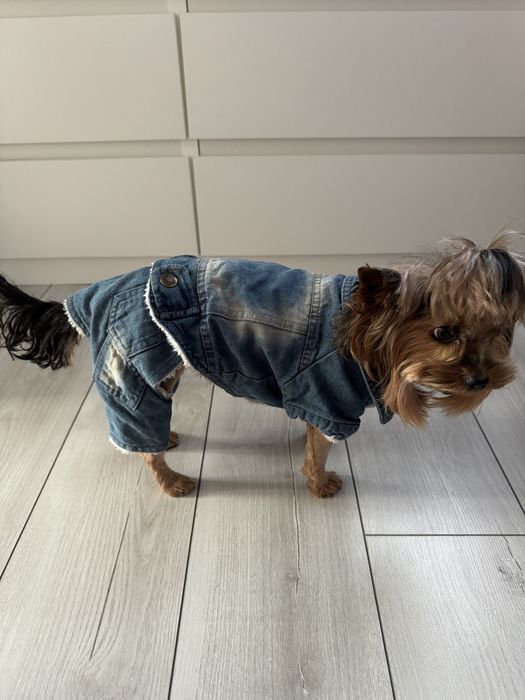 Комбінезон для собаки