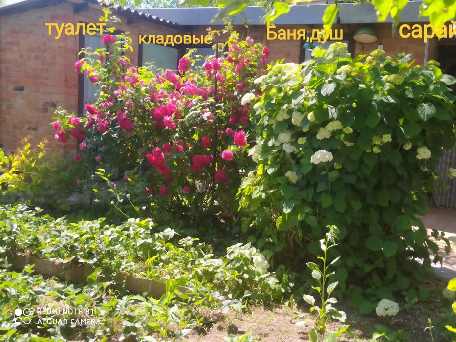 Продам два  приватизированных  земельных участка на одном участке доми