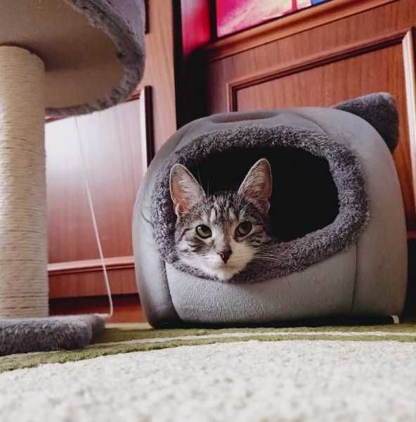 Domek dla KOTA Budka, Legowisko Pluszowe, Ciepłe, Wygodne, Bezpieczne