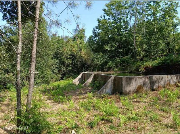 Quinta com 2 Hectares e Casa em Pedra para Recuperar em Gomide, Vila V