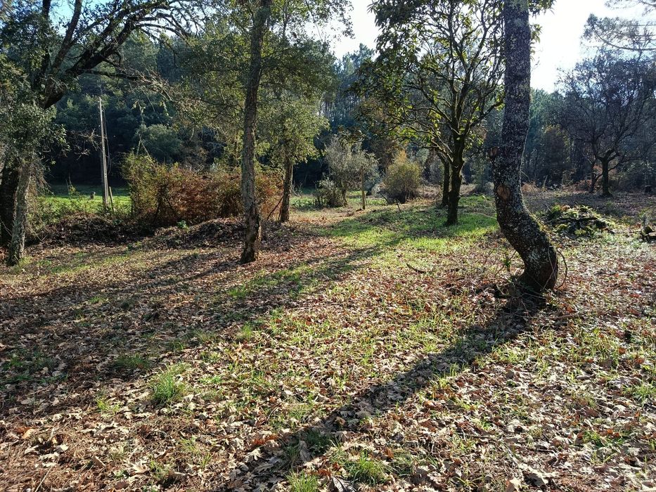 Vende-se quinta Cabeçudo, Sertã