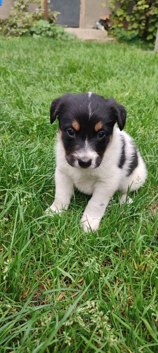 Хлопчик безкоштовно