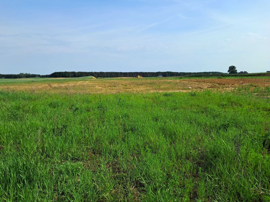 Działki budowlane z WZ (od 908 m²), Jankowo Dolne, bezpośrednio od właściciela - Widok 4