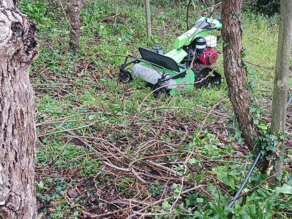 Máquina limpeza de terrenos