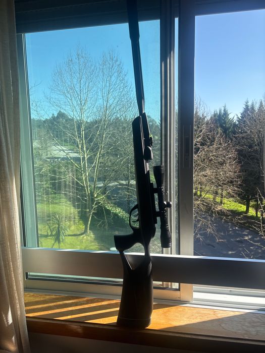 Pressão de ar Gammo 5,5