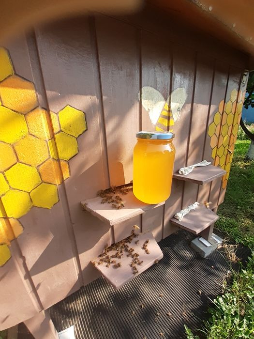 Miód z przydomowej pasieki