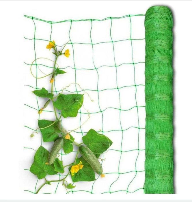 Парник «Пролісок»