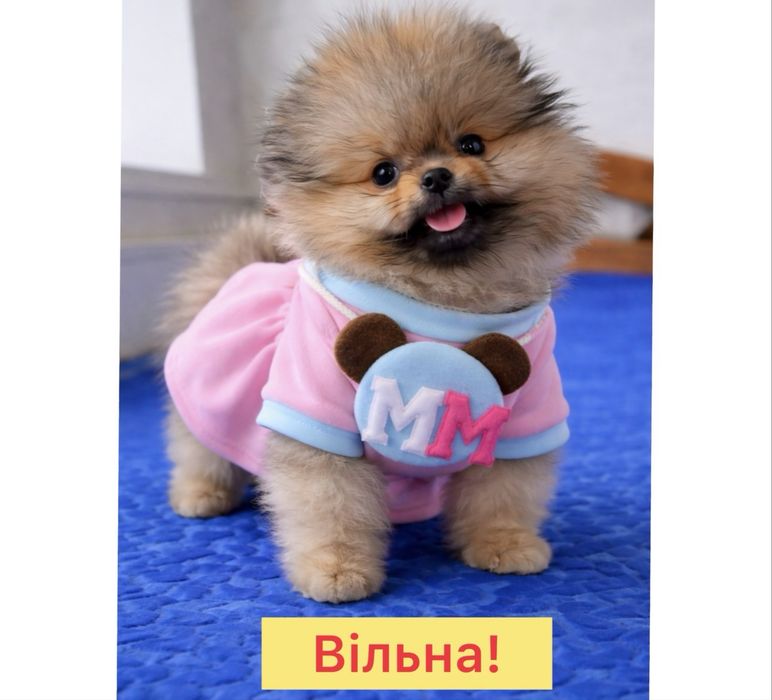 BabyНайлагідніше маля !