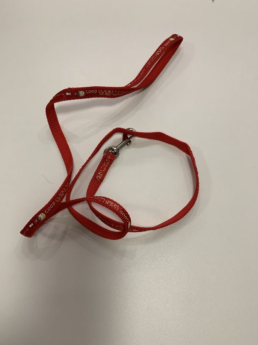 Ошейник шлейка для кота новый, с поводком