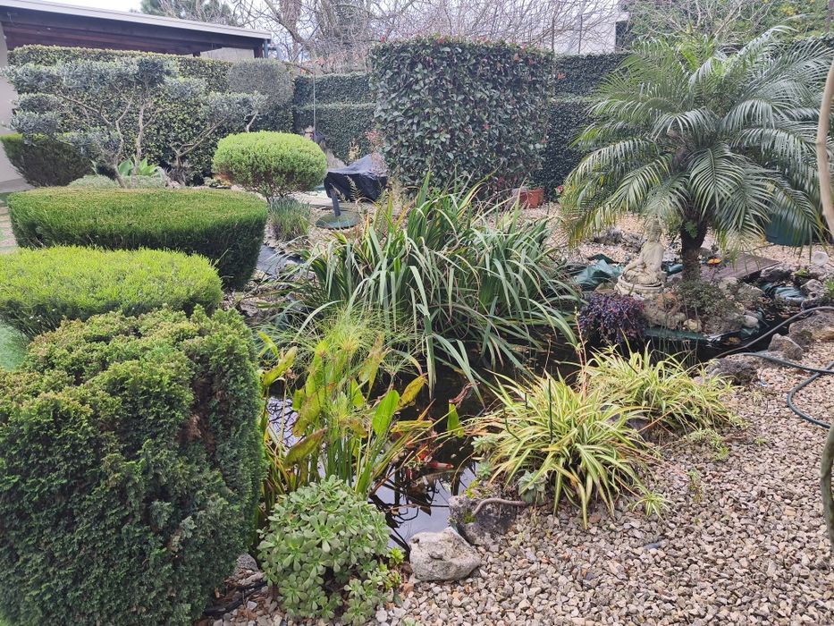 Serviços jardinagem