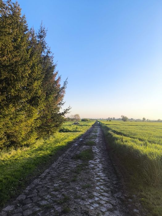 Działka siedlisko MPZP 30 arowa