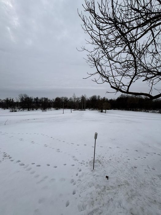 Затишний будинок 78 м² з великою ділянкою 30 соток у с. Безугляки