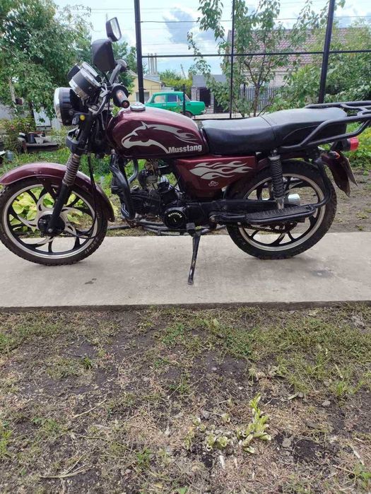 Alpha Musstang 110