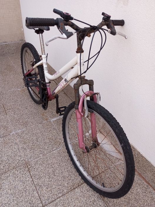 Bicicleta para adulto