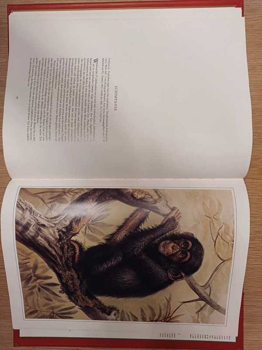 Livro Die Schonsten Natur-Grafiken