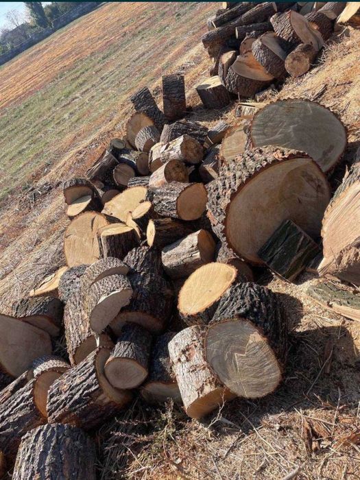 Дрова Акация, лучшая цена|от 3кубов