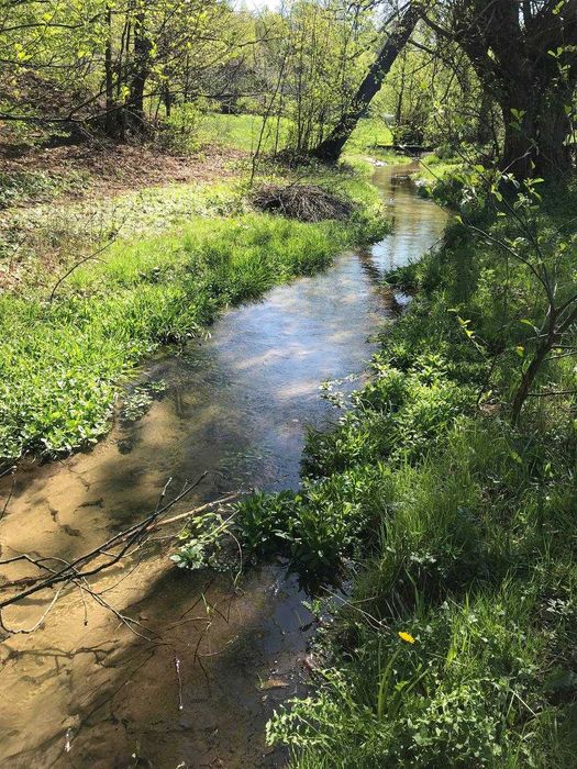 Продам земельну ділянку у Середкевичах під форелеве господарство .