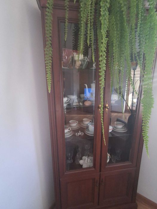 Meble do salonu z płyty mahoń