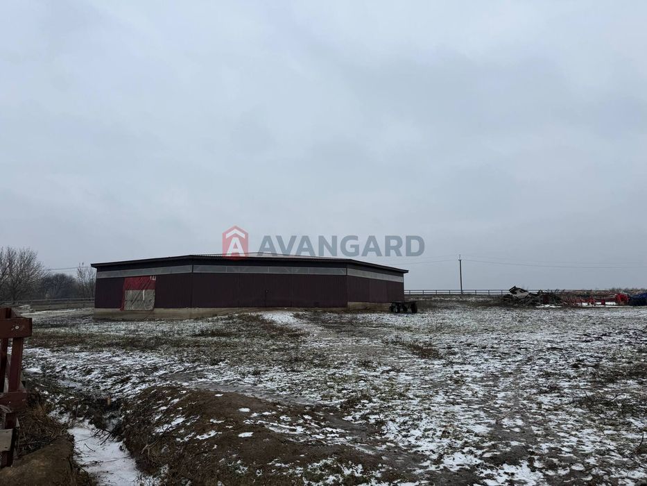 Продажа кінний двір Новоолександрівка комерція